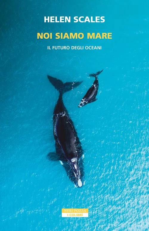 libreriacortinamilano-1202606221149221691358