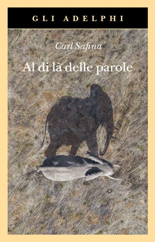 libreriacortinamilano-1202606221254451705995