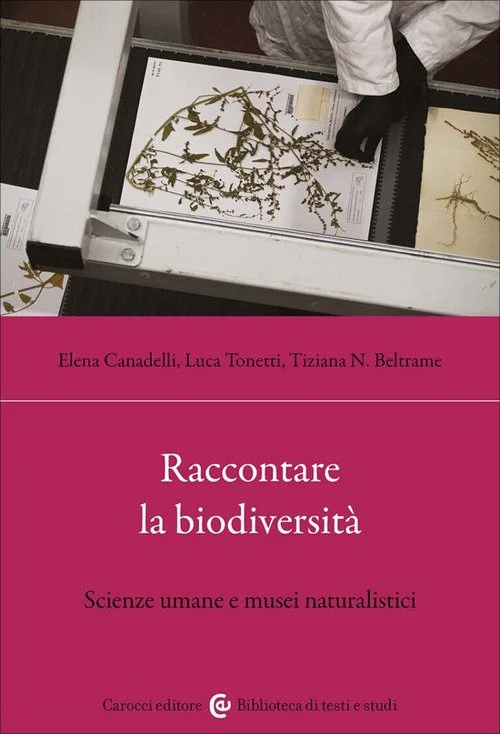 libreriacortinamilano-1202606221457581730356