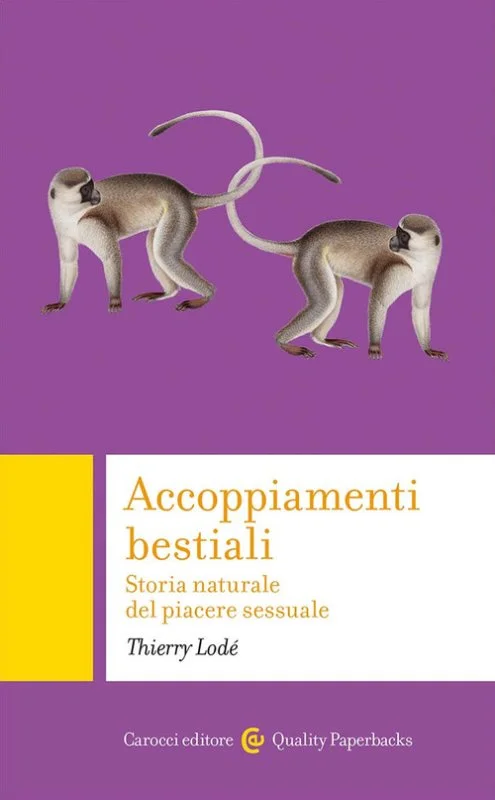 libreriacortinamilano-1202606221722161759140
