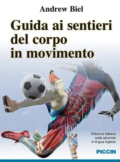 libreriacortinamilano-1202606221856311779923