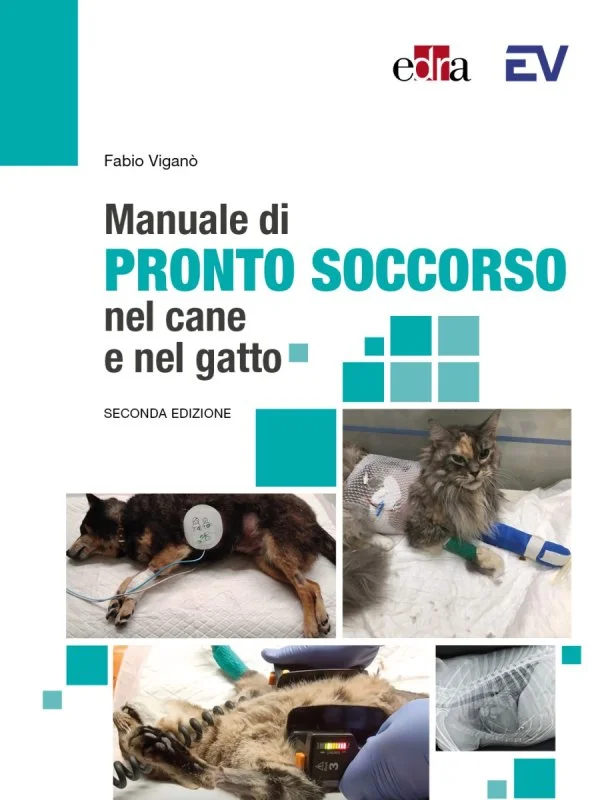 libreriacortinamilano-1202606221940371789183