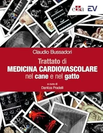 libreriacortinamilano-1202606221957121792503
