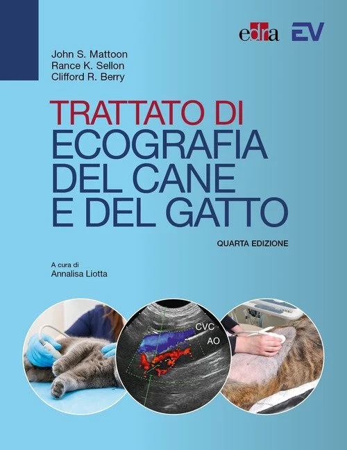 libreriacortinamilano-1202606230028501852443