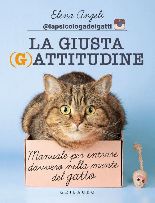 libreriacortinamilano-1202606230054361858280