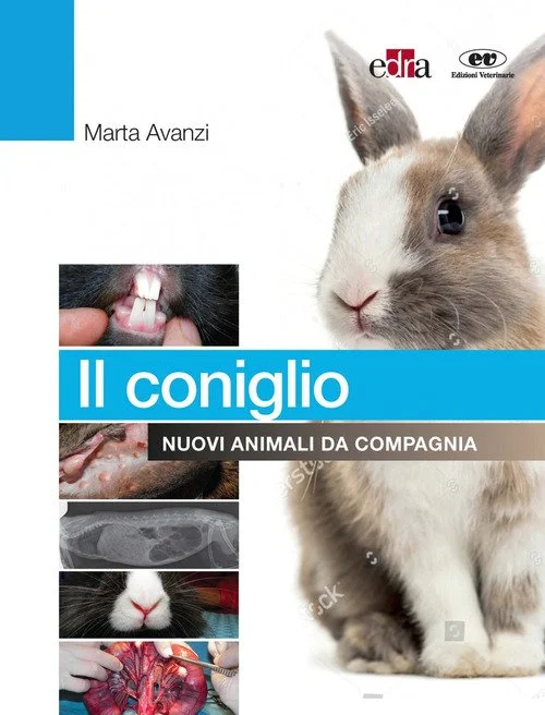 libreriacortinamilano-1202606230214581876010