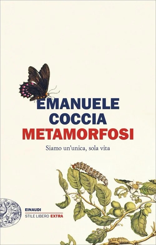 libreriacortinamilano-1202606230529451918203