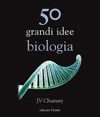 libreriacortinamilano-1202606231254222013510