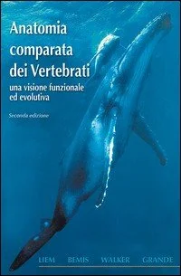 libreriacortinamilano-3202606231450262039382