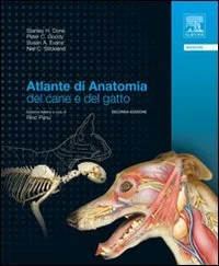 libreriacortinamilano-3202606231937292095815