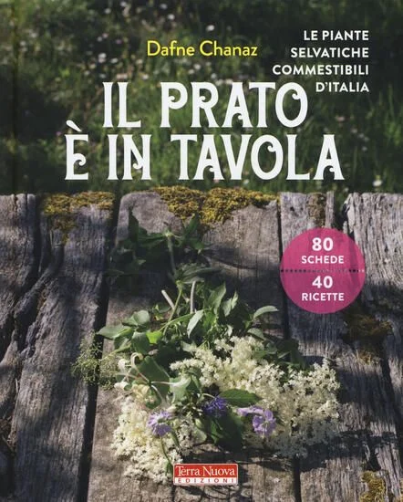 libreriadantealighieri-1202606221009401672582