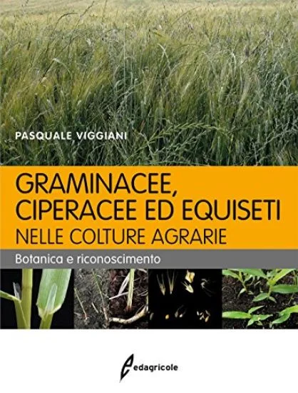 libreriadantealighieri-1202606230005571847501