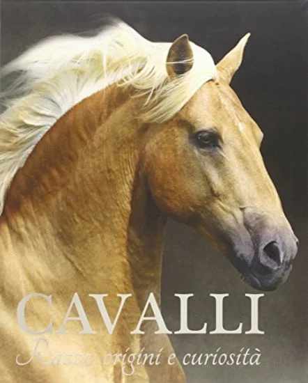 libreriadantealighieri-1202606230055591858549