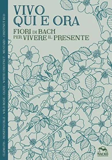 libreriadantealighieri-1202606230103331860167