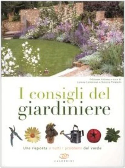 libreriadantealighieri-1202606230427051904227