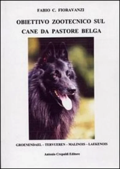 libreriadantealighieri-1202606230454591910388