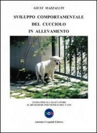 libreriadantealighieri-1202606230455011910396