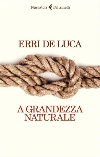 libreriadantealighieri-2202606232338452151779