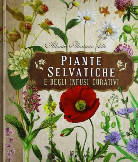 libreriadantealighieri-2202606240045442166741