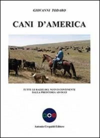 libreriadantealighieri-2202606240657152246476