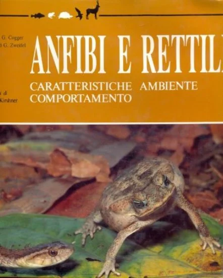 libreriadantealighieri-3202606240627052239739