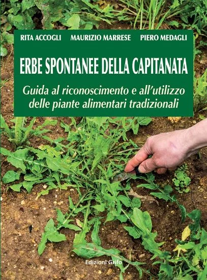 libreriadantealighieri-3202606240729112253616