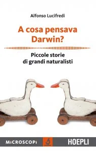libreriadelsanto-3202606240048052167306